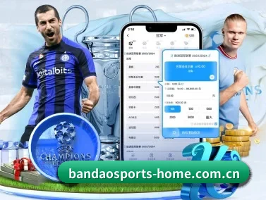 半岛体育入口 APP | Bandao
