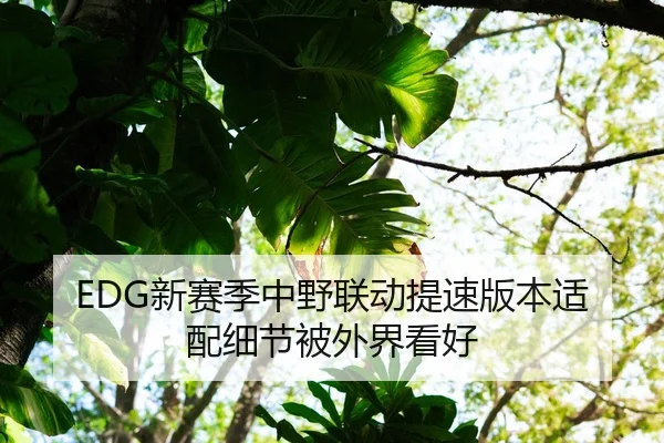 EDG新赛季中野联动提速版本适配细节被外界看好 | Bandao